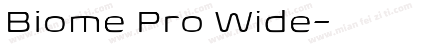 Biome Pro Wide字体转换
